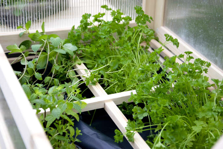 dobar Erhöhtes Frühbeet mit Tisch & Haken